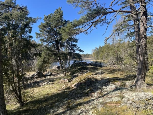 Bild av Apalnäsvikvägen 173