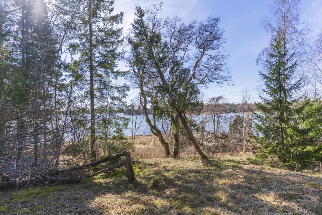 Bild av Naturskön fritidstomt