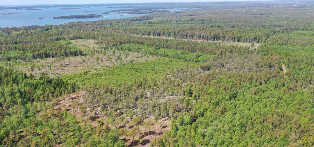 Bild av Tre skogsskiften i Vesteränga, Lemland.