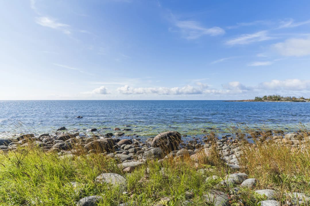 Bild av Skeppsviksvägen