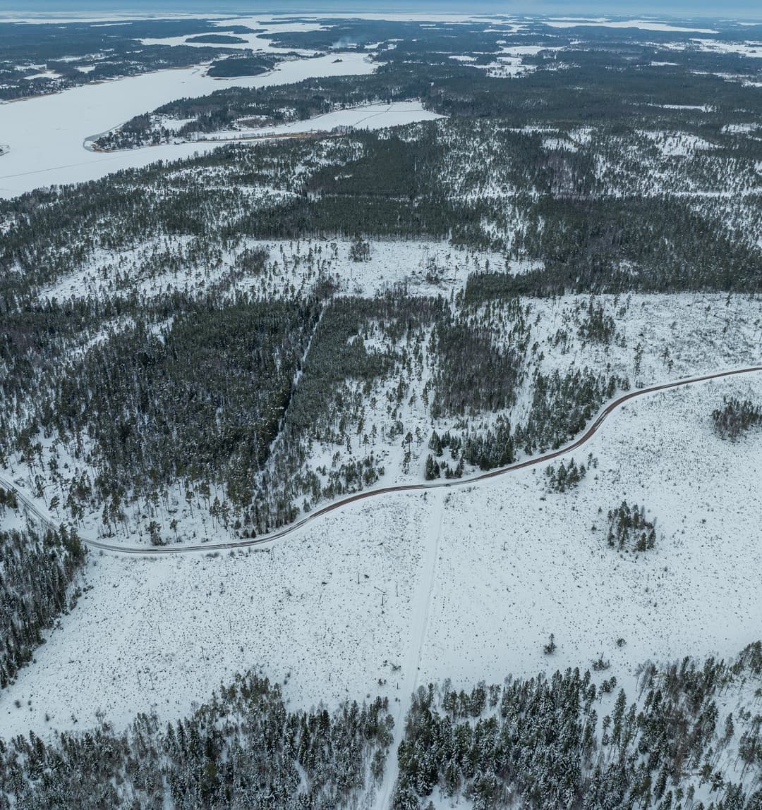 Bild av Skogsfastighet